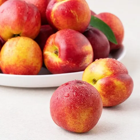 7월 최고의 과일 적극추천