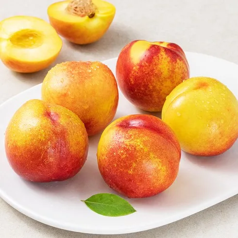 편의점보다 싼 과일 Top5 핫템