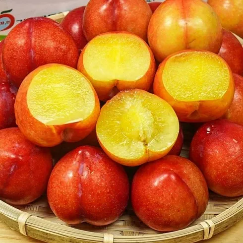 없어서 못파는 과일 Top5 핫템