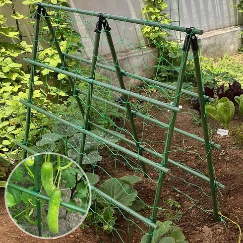 7월 최고의 방울토마토지지대 리뷰