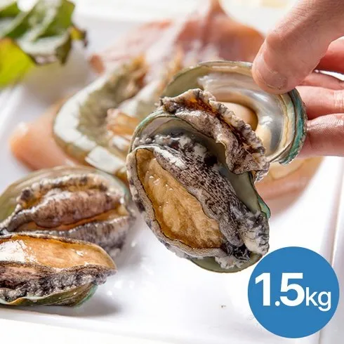 나만 알고 싶은 완도 한입활전복 1.2kg 적극추천