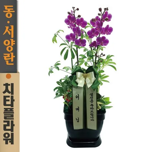 편의점보다 싼 전국꽃배달 적극추천