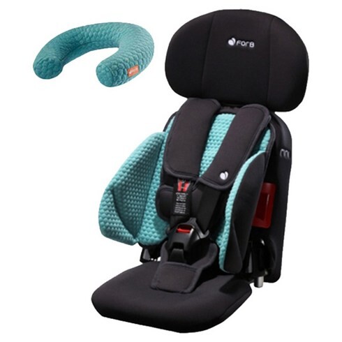 나만 알고 싶은 포브리니휴대용카시트 Top5 핫템